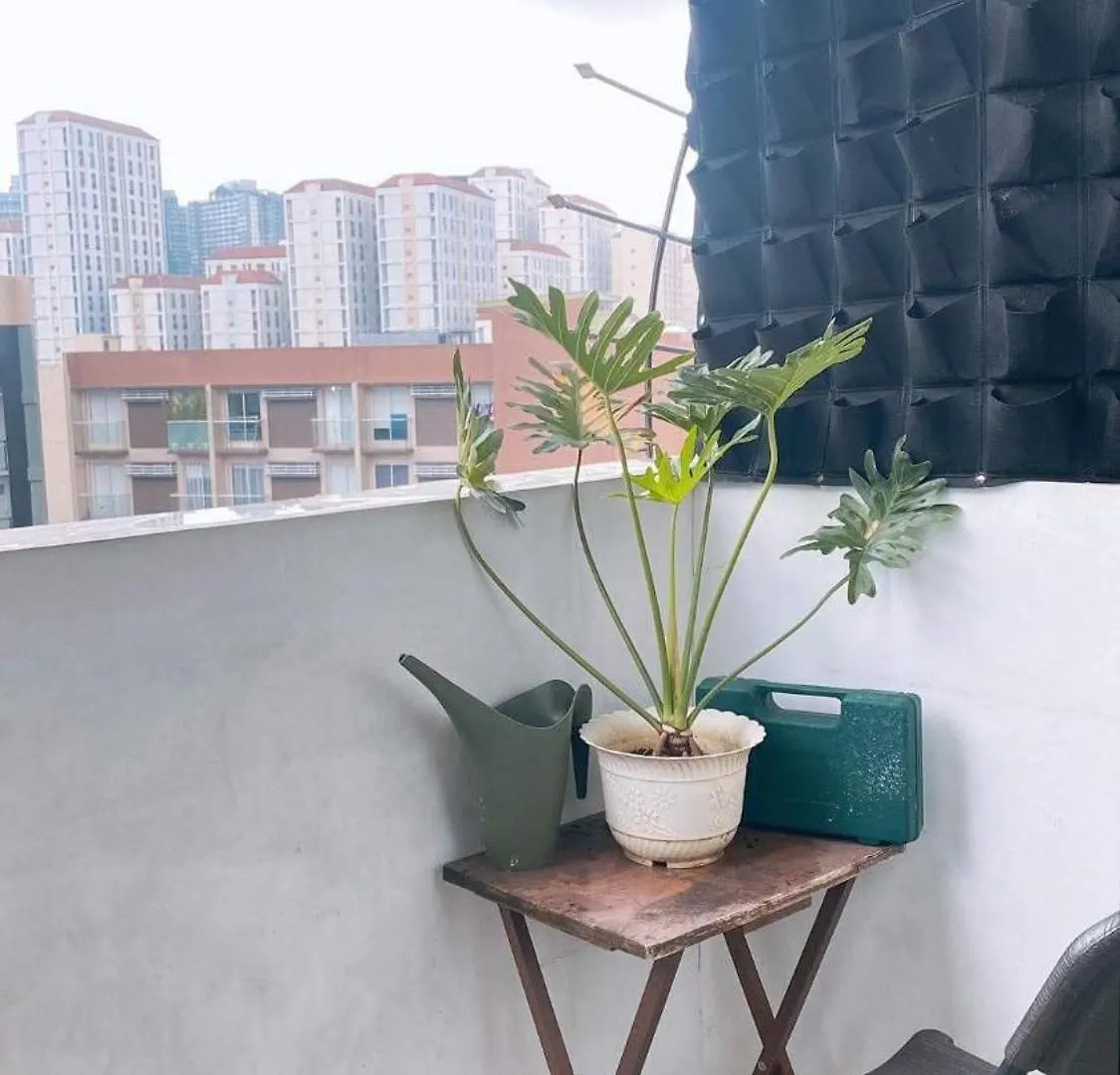 Ohana Buenbyahe Affordable Staycation At F Residences Near At Mrt Shaw Megamall And Starmall Manila Apartment